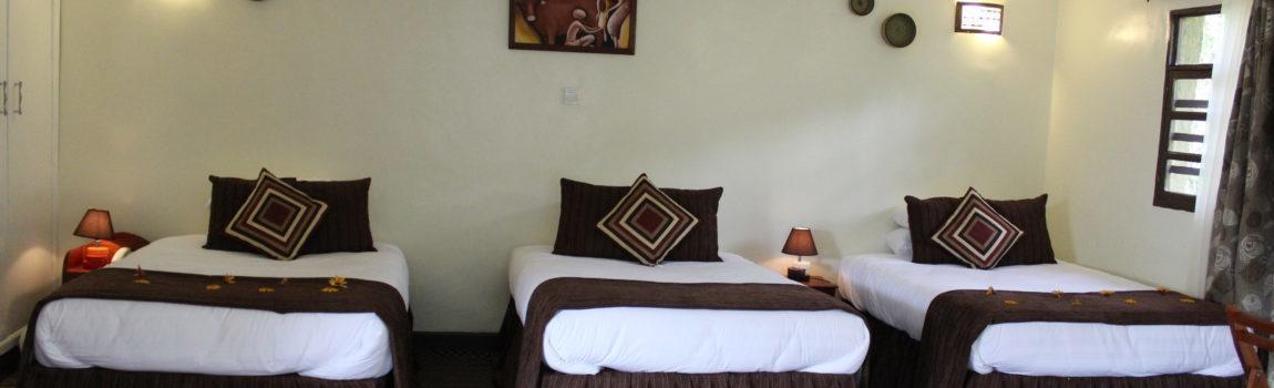 Davinci Gorilla Lodge Kinigi ภายนอก รูปภาพ